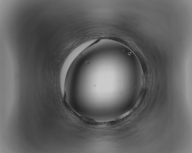 X0000112070505200908041237