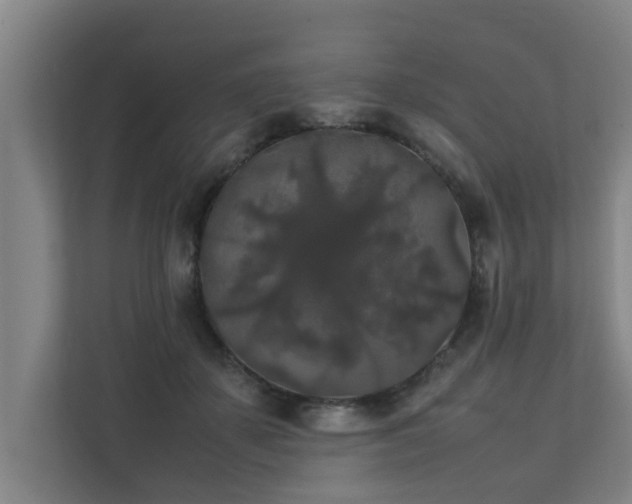 X0000112070507200908041237