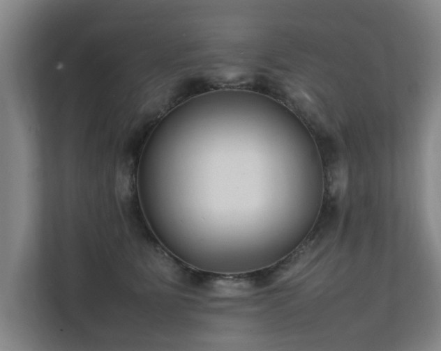 X0000112070515200908041236