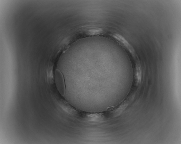 X0000112070516200908041236