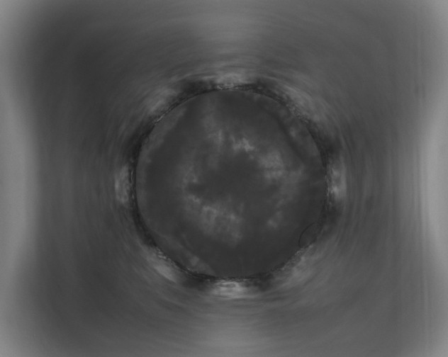 X0000112070519200908041236