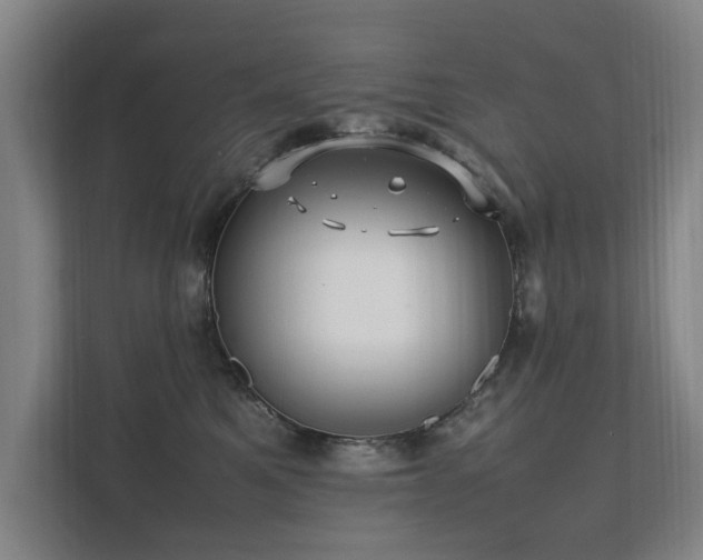 X0000112070521200908041236