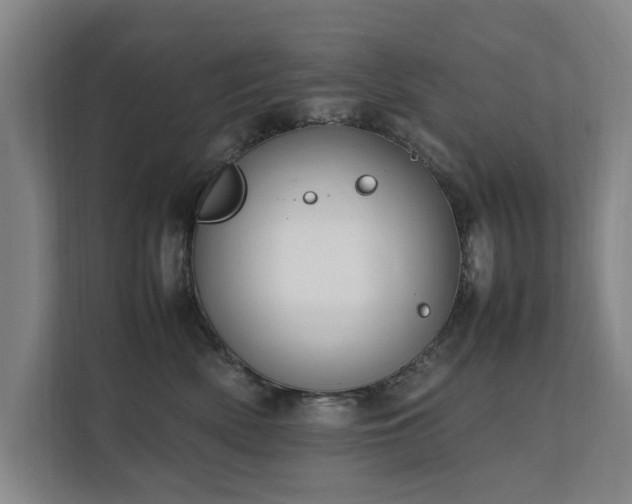 X0000112070522200908041236