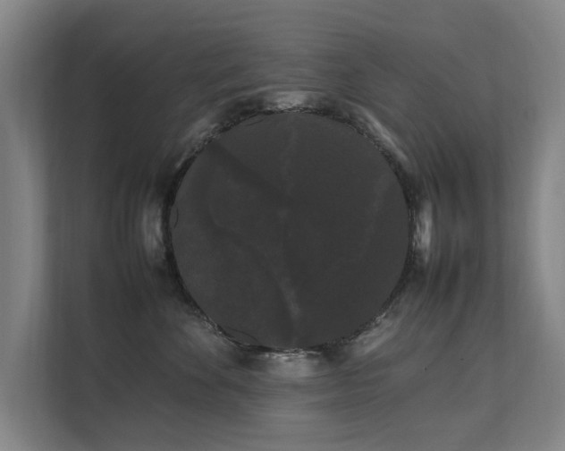 X0000112070524200908041236