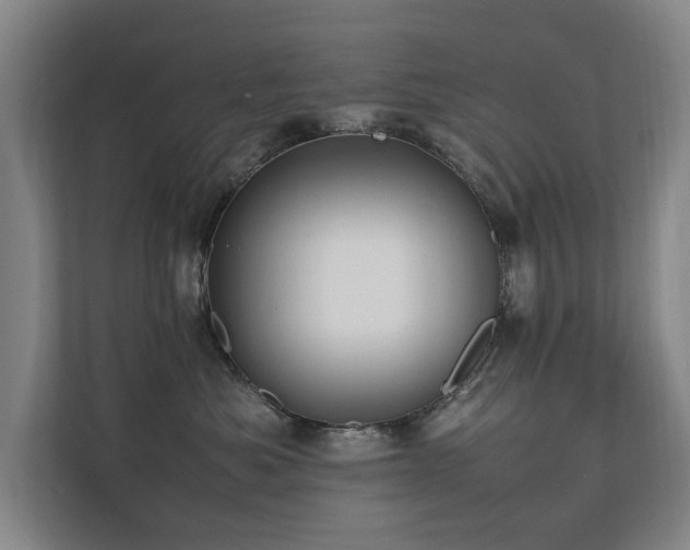 X0000112070525200908041236