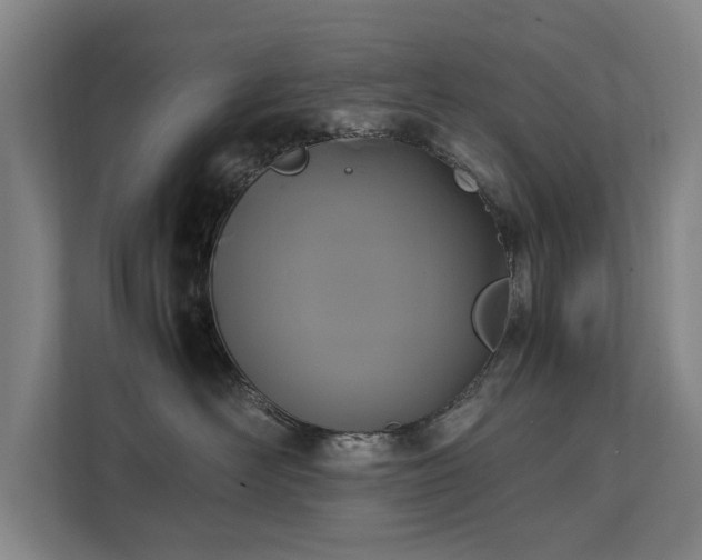 X0000112070526200908041236