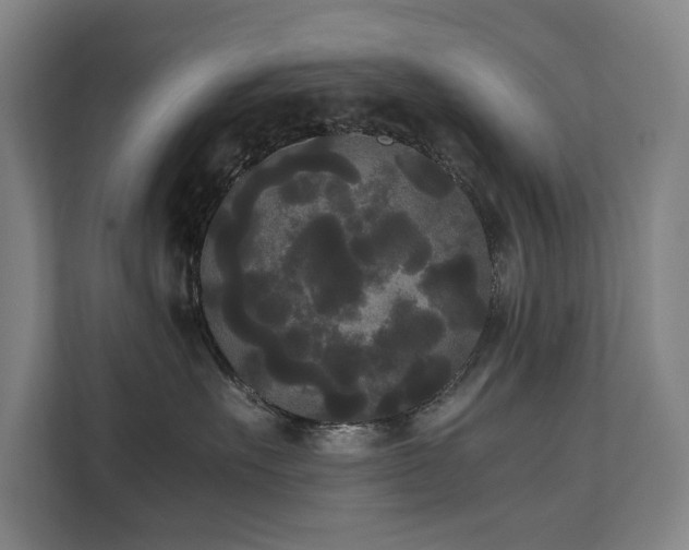 X0000112070527200908041236