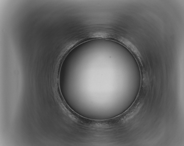 X0000112070529200908041236