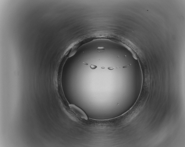 X0000112070530200908041236