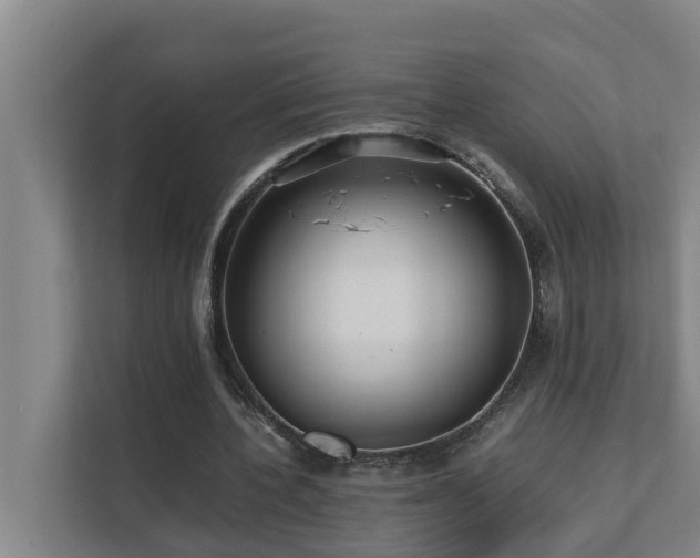 X0000112070532200908041236