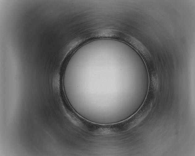 X0000112070534200908041236