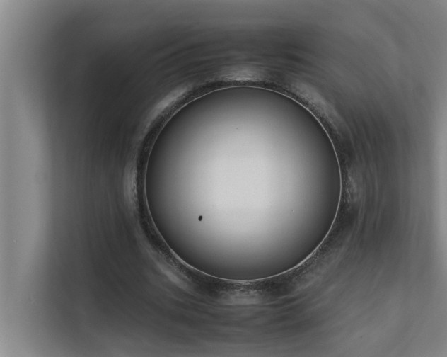 X0000112070535200908041236