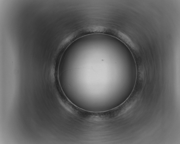 X0000112070538200908041236