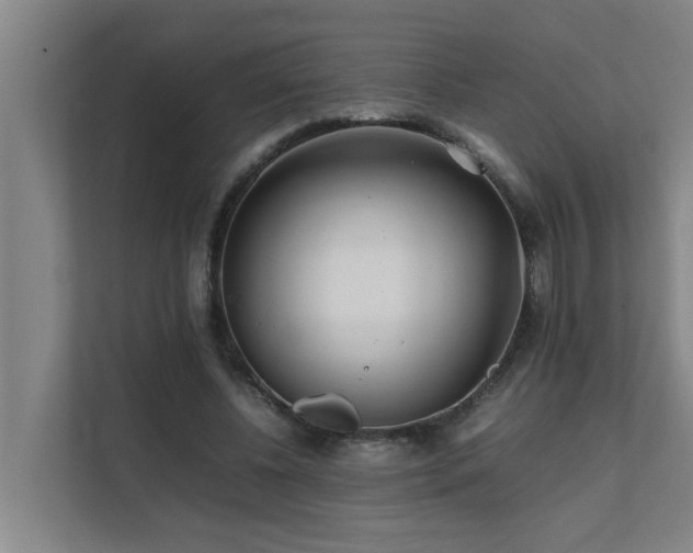 X0000112070540200908041236