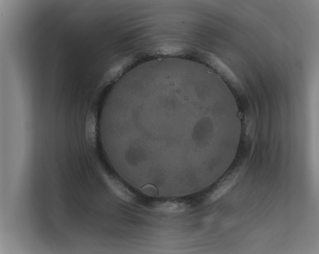 X0000112070542200908041236