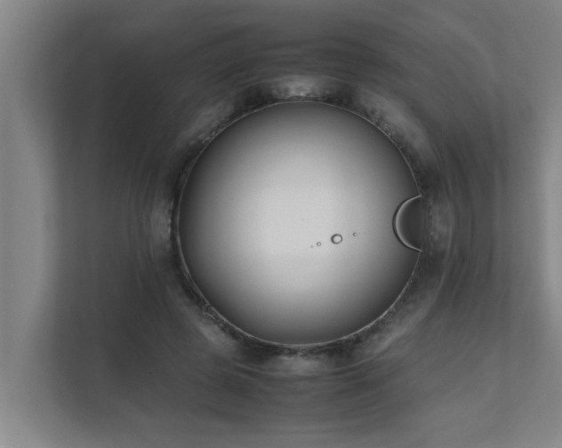 X0000112070545200908041236