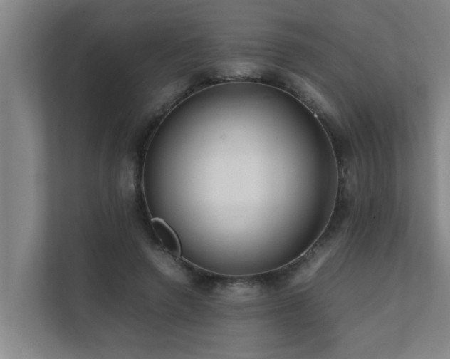 X0000112070546200908041236