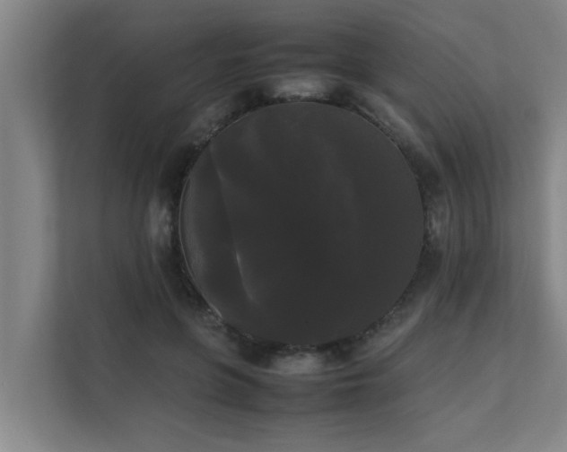 X0000112070551200908041236