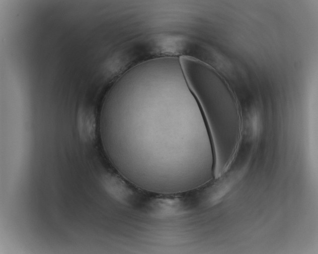 X0000112070552200908041236