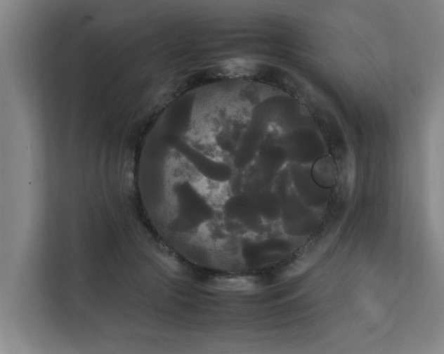 X0000112070553200908041236