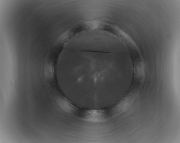 X0000112070558200908041236