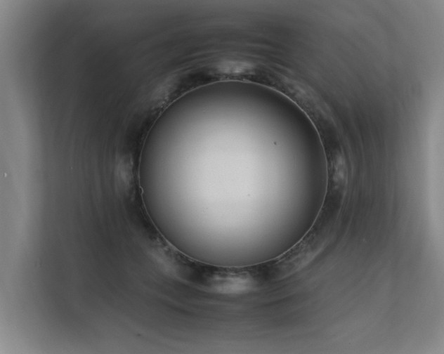 X0000112070559200908041236