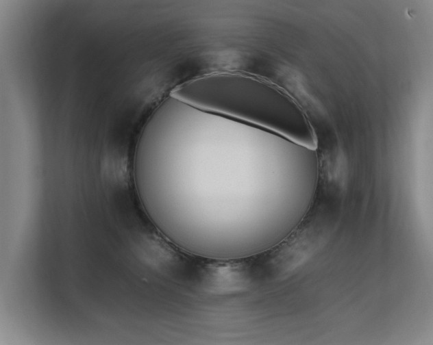 X0000112070564200908041236