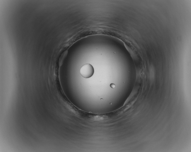 X0000112070566200908041236