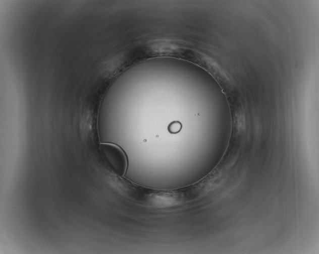 X0000112070567200908041236