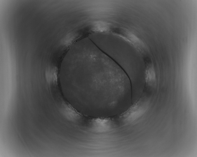 X0000112070570200908041236