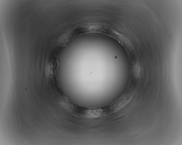 X0000112070571200908041236