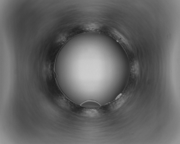 X0000112070572200908041236