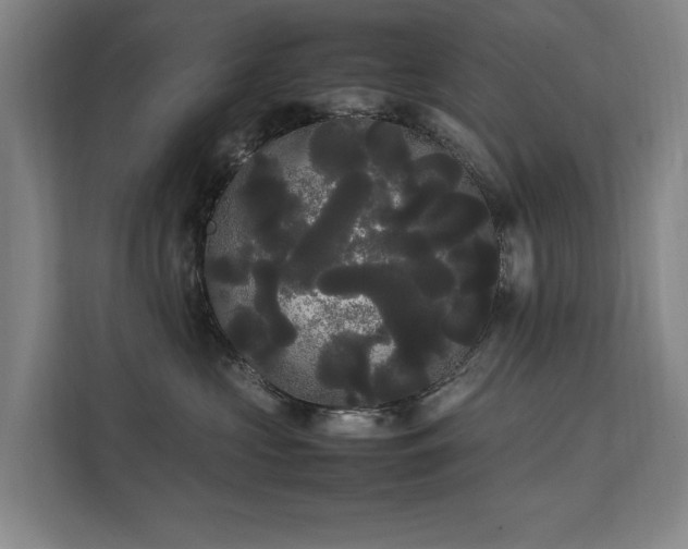 X0000112070573200908041236