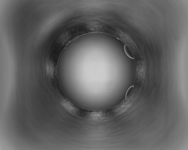 X0000112070574200908041236