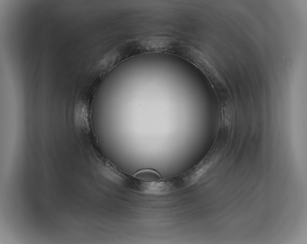 X0000112070575200908041236