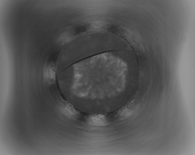 X0000112070576200908041236