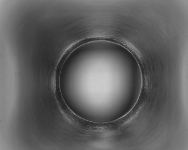 X0000112070580200908041236