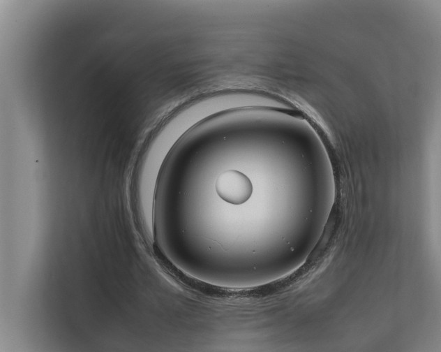 X0000112070581200908041236