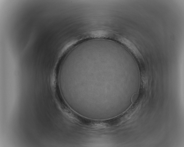 X0000112070583200908041236