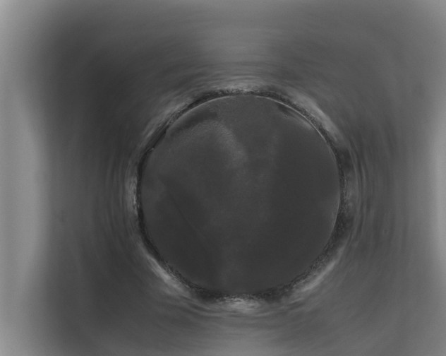 X0000112070585200908041236