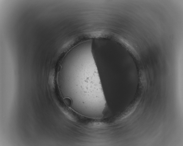 X0000112070590200908041235