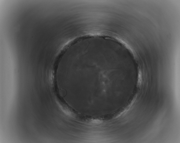 X0000112070592200908041235