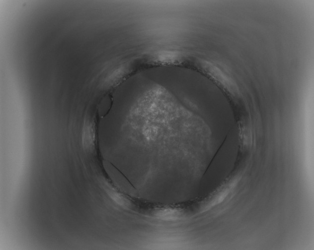 X0000112070593200908041235