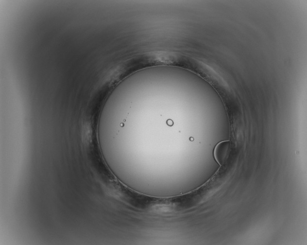 X0000112070595200908041235