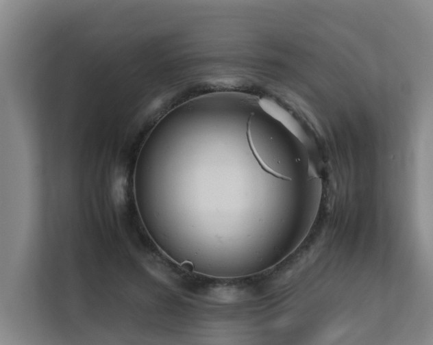 X0000112070596200908041235