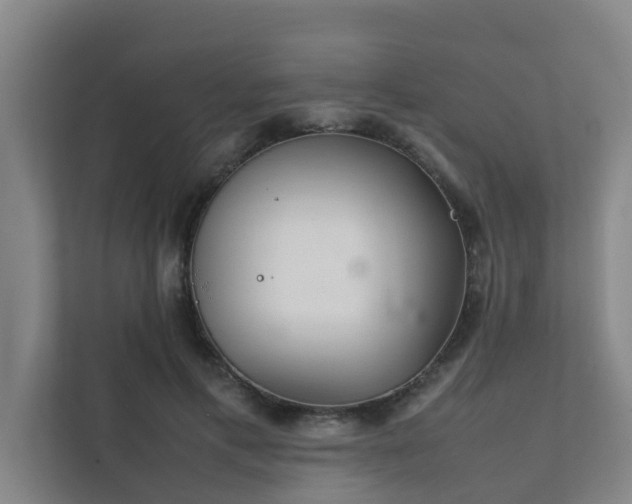 X0000112070597200908041235