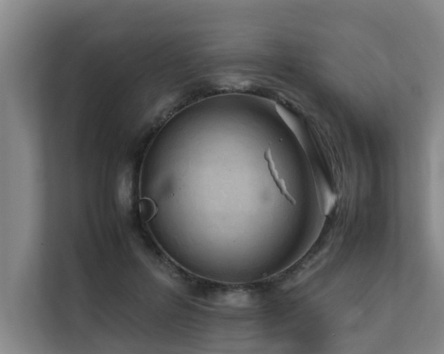 X0000112070600200908041235