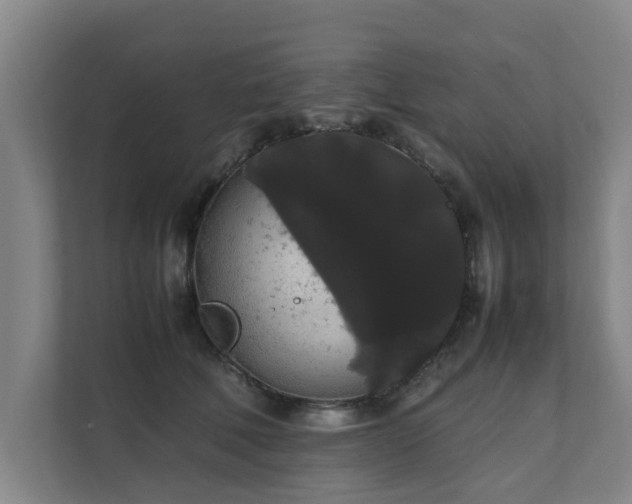 X0000112070610200908041235