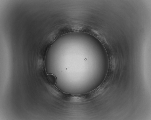 X0000112070614200908041235