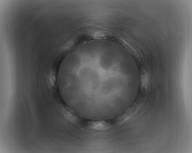 X0000112070618200908041235